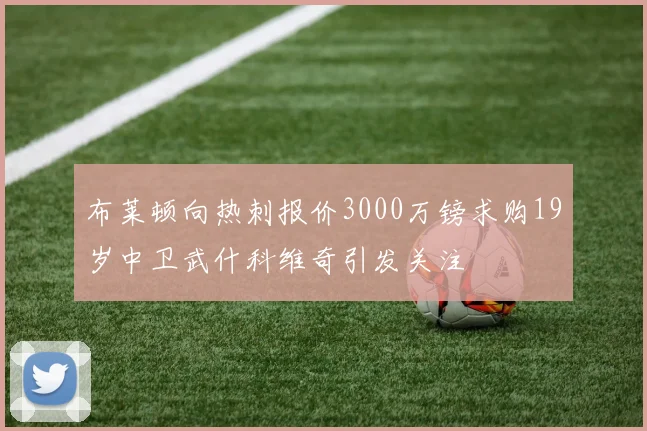 布莱顿向热刺报价3000万镑求购19岁中卫武什科维奇引发关注