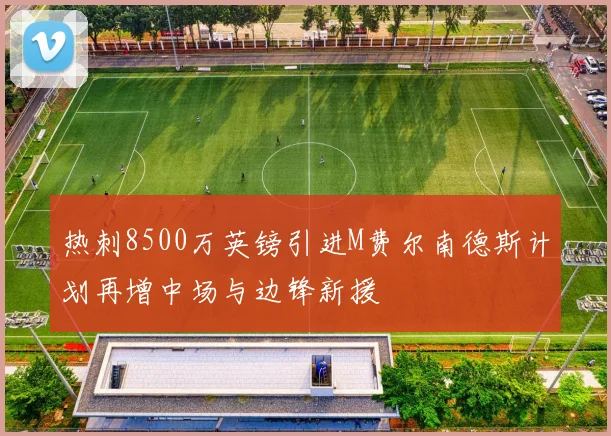 热刺8500万英镑引进M费尔南德斯计划再增中场与边锋新援