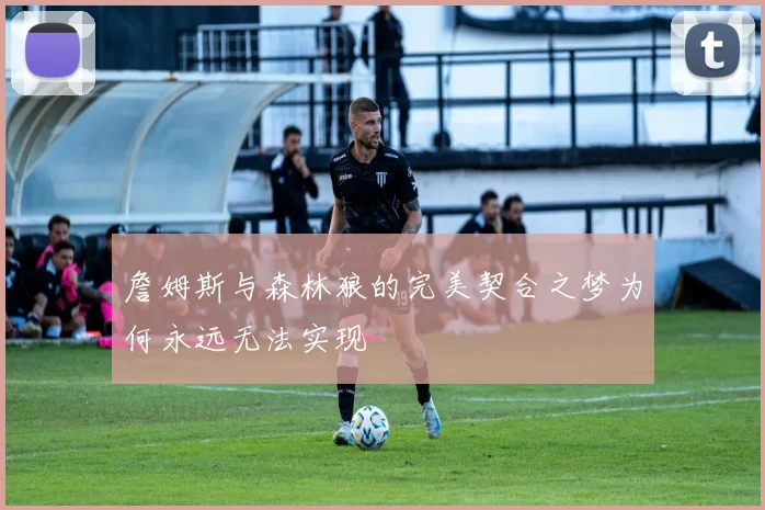 詹姆斯与森林狼的完美契合之梦为何永远无法实现