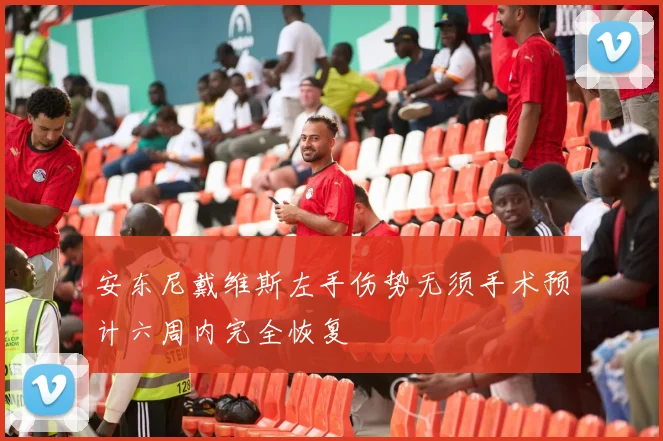 安东尼戴维斯左手伤势无须手术预计六周内完全恢复