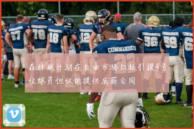 森林狼计划在自由市场积极引援4号位球员但仅能提供底薪合同