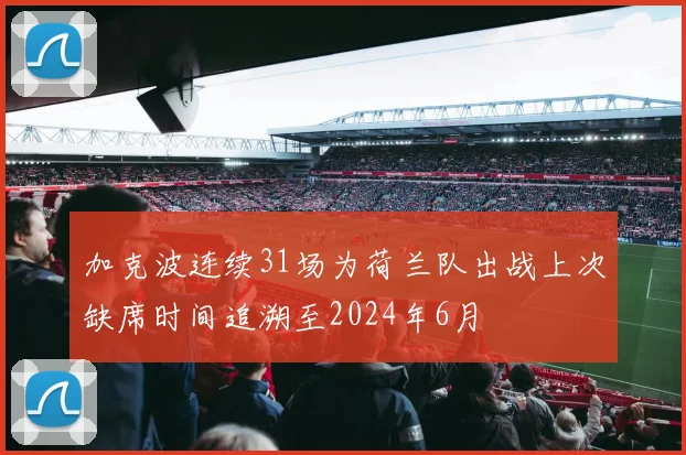 加克波连续31场为荷兰队出战上次缺席时间追溯至2024年6月
